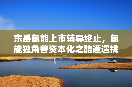 东岳氢能上市辅导终止，氢能独角兽资本化之路遭遇挑战