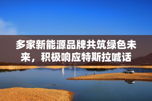 多家新能源品牌共筑绿色未来，积极响应特斯拉喊话