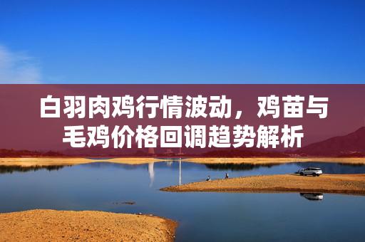白羽肉鸡行情波动，鸡苗与毛鸡价格回调趋势解析