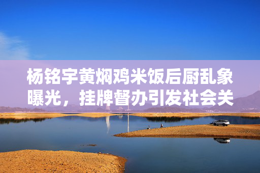 杨铭宇黄焖鸡米饭后厨乱象曝光，挂牌督办引发社会关注
