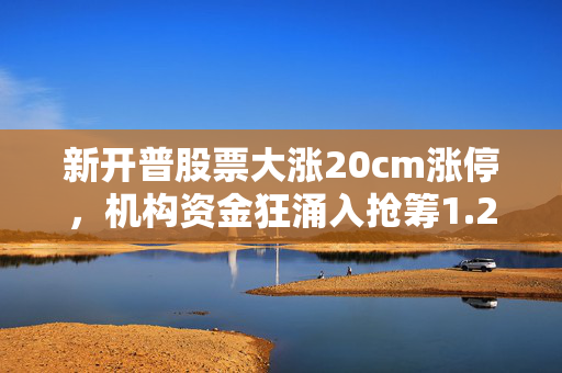 新开普股票大涨20cm涨停，机构资金狂涌入抢筹1.27亿元