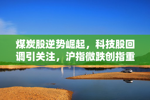 煤炭股逆势崛起，科技股回调引关注，沪指微跌创指重挫