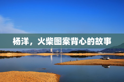 杨洋，火柴图案背心的故事