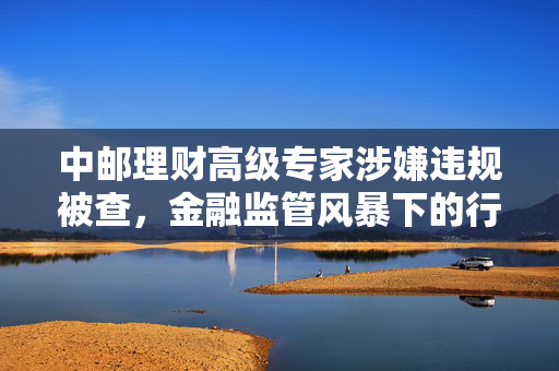 中邮理财高级专家涉嫌违规被查，金融监管风暴下的行业反思