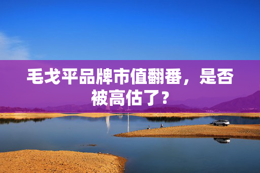 毛戈平品牌市值翻番，是否被高估了？