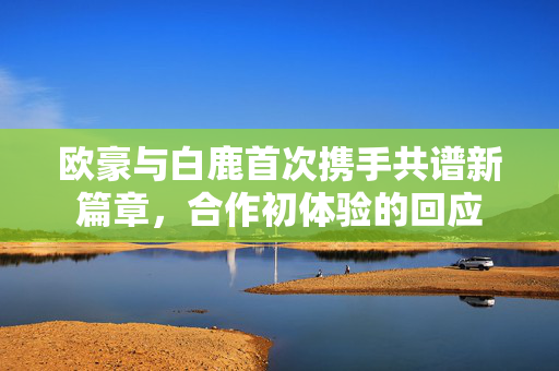 欧豪与白鹿首次携手共谱新篇章，合作初体验的回应
