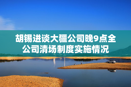 胡锡进谈大疆公司晚9点全公司清场制度实施情况