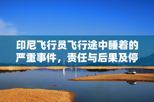 印尼飞行员飞行途中睡着的严重事件，责任与后果及停职处理