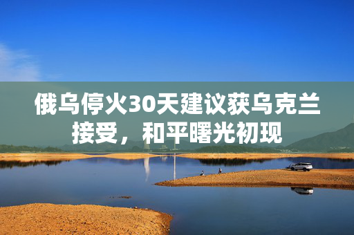 俄乌停火30天建议获乌克兰接受，和平曙光初现