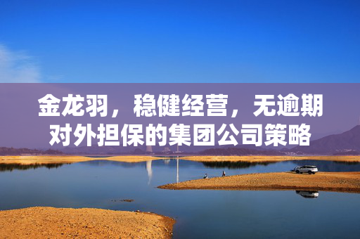 金龙羽，稳健经营，无逾期对外担保的集团公司策略