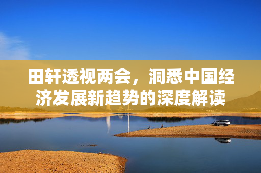 田轩透视两会，洞悉中国经济发展新趋势的深度解读