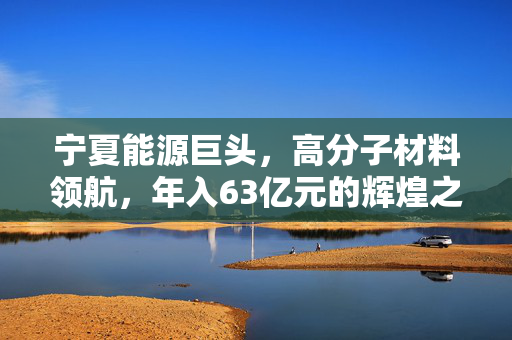 宁夏能源巨头，高分子材料领航，年入63亿元的辉煌之路