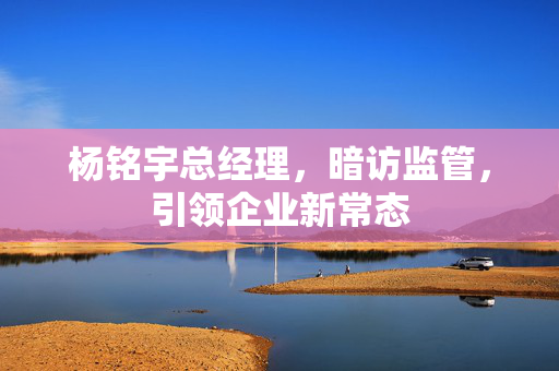 杨铭宇总经理，暗访监管，引领企业新常态