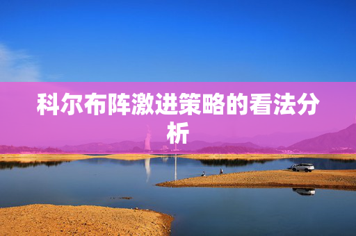 科尔布阵激进策略的看法分析