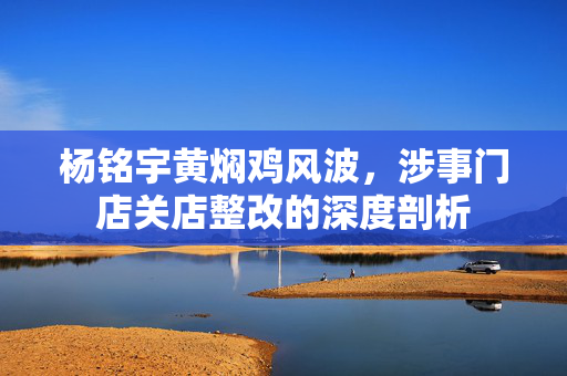 杨铭宇黄焖鸡风波，涉事门店关店整改的深度剖析