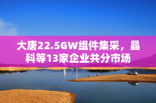 大唐22.5GW组件集采，晶科等13家企业共分市场