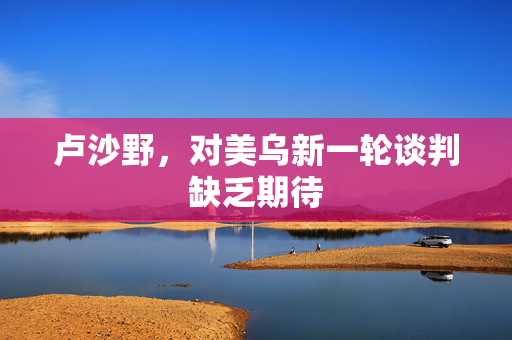 卢沙野，对美乌新一轮谈判缺乏期待