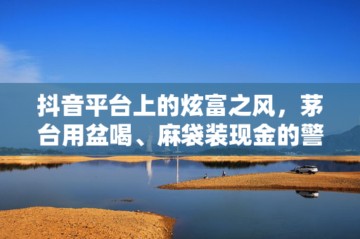 抖音平台上的炫富之风，茅台用盆喝、麻袋装现金的警示与封禁行动