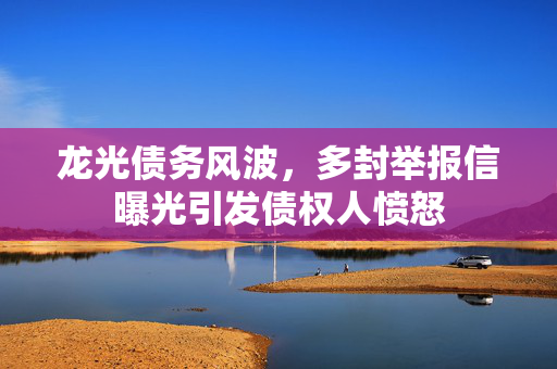 龙光债务风波，多封举报信曝光引发债权人愤怒