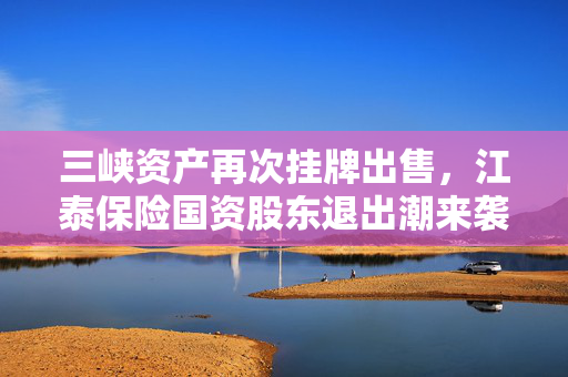 三峡资产再次挂牌出售，江泰保险国资股东退出潮来袭