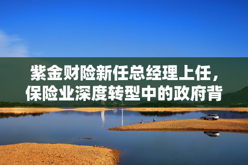 紫金财险新任总经理上任，保险业深度转型中的政府背景领导引领逆袭之战