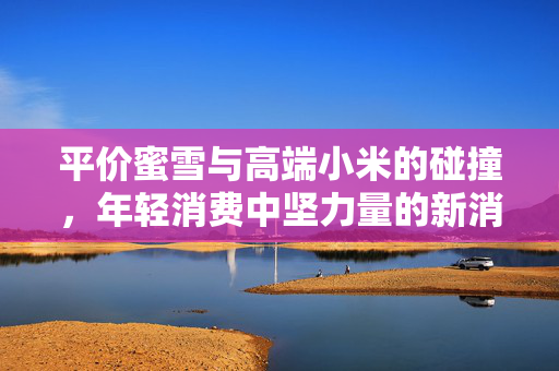 平价蜜雪与高端小米的碰撞，年轻消费中坚力量的新消费逻辑