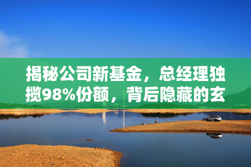揭秘公司新基金，总经理独揽98%份额，背后隐藏的玄机是什么？