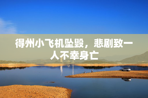 得州小飞机坠毁，悲剧致一人不幸身亡