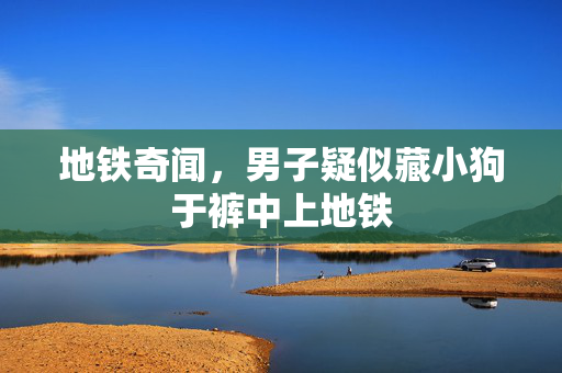 地铁奇闻，男子疑似藏小狗于裤中上地铁