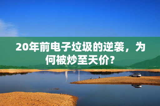 20年前电子垃圾的逆袭，为何被炒至天价？