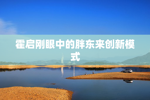 霍启刚眼中的胖东来创新模式