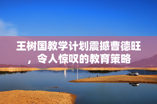 王树国教学计划震撼曹德旺，令人惊叹的教育策略