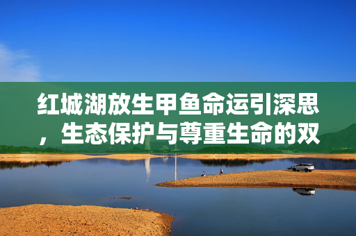 红城湖放生甲鱼命运引深思，生态保护与尊重生命的双重思考