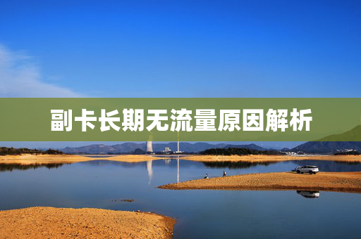 副卡长期无流量原因解析