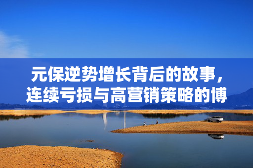 元保逆势增长背后的故事，连续亏损与高营销策略的博弈