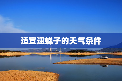 适宜逮蝉子的天气条件