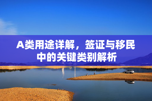 A类用途详解，签证与移民中的关键类别解析