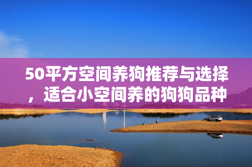 50平方空间养狗推荐与选择，适合小空间养的狗狗品种