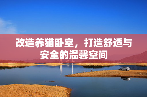 改造养猫卧室，打造舒适与安全的温馨空间