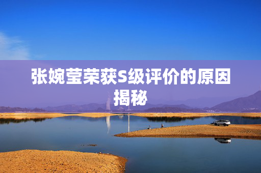 张婉莹荣获S级评价的原因揭秘
