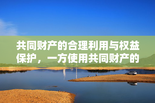共同财产的合理利用与权益保护，一方使用共同财产的界限与风险考量