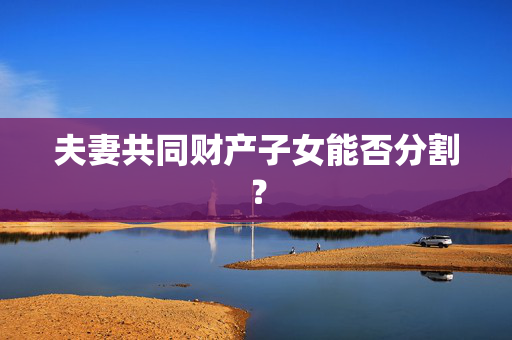 夫妻共同财产子女能否分割？