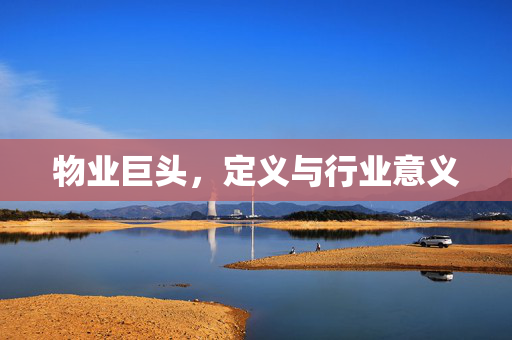 物业巨头，定义与行业意义