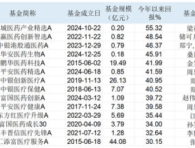 有基金年内大涨超50%！除了港股创新药，基金经理还看好AI医疗